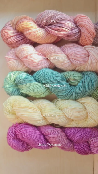 PREORDER — Nuture Collection - BUNDLE