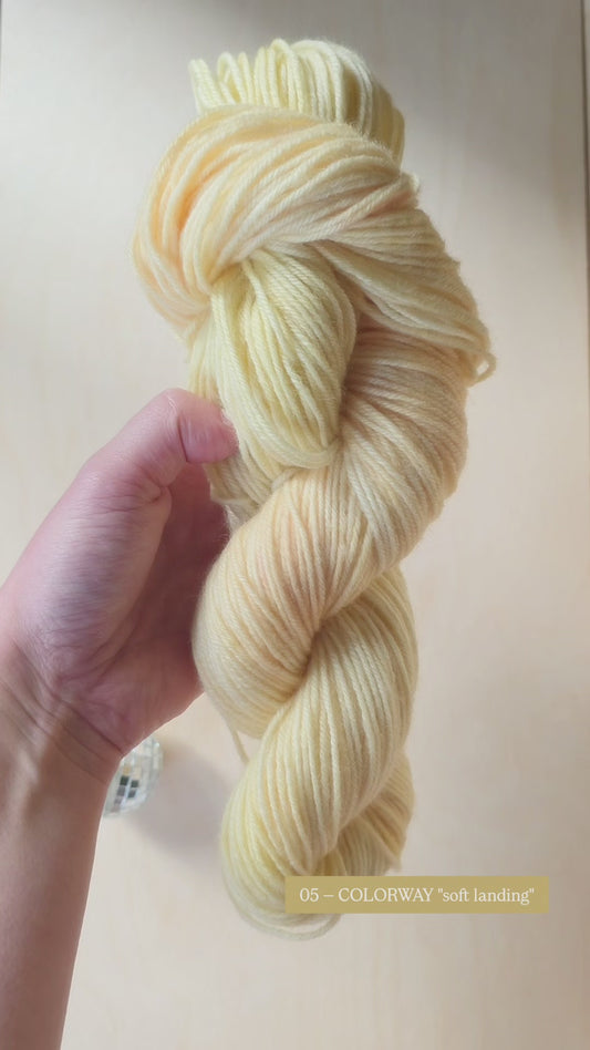 PREORDER — Soft Landing