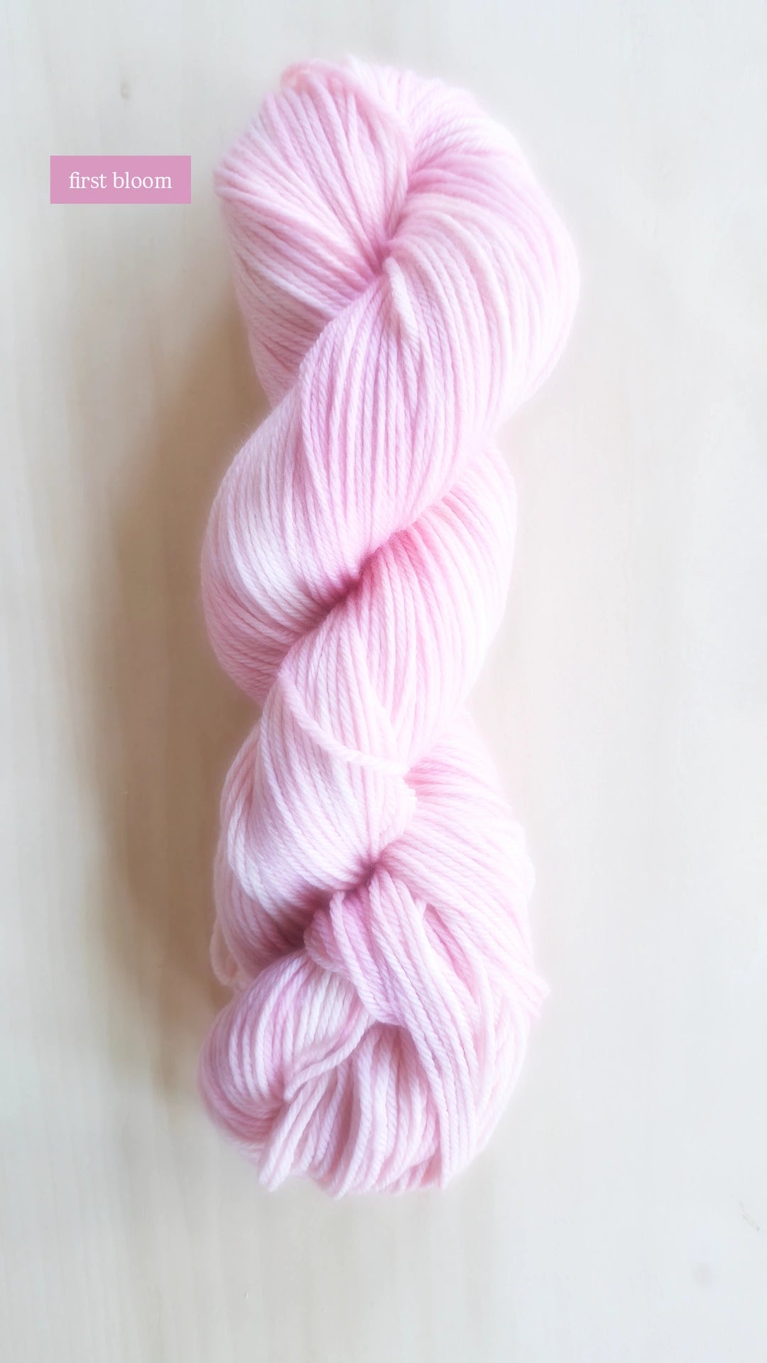 Ready-to-Ship | One-of-a-Kind Hand-Dyed Yarn Skeins | Worsted (Weight 4) on Superwash Merino Wool