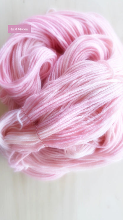 Ready-to-Ship | One-of-a-Kind Hand-Dyed Yarn Skeins | Worsted (Weight 4) on Superwash Merino Wool